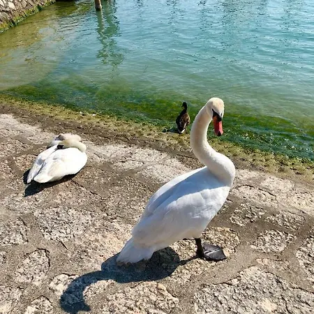 Juliet’s Garda Sirmione
